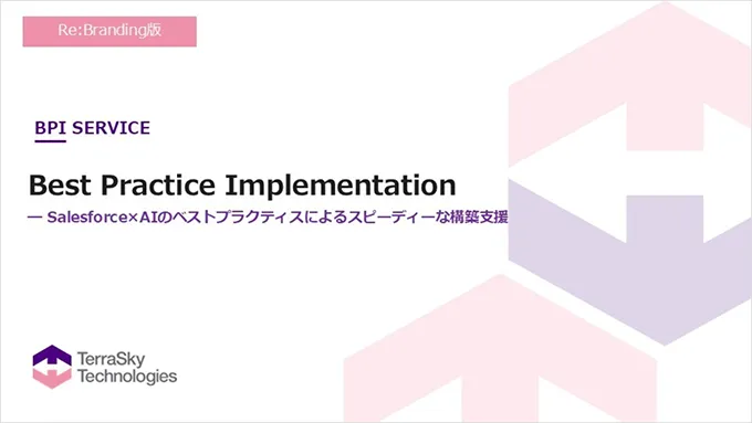 BPI紹介資料